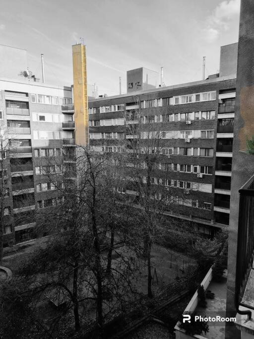 布达佩斯Danube Dwelling Asboth 19-2公寓 外观 照片